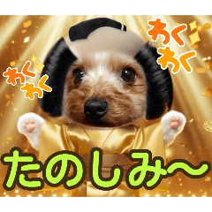 [LINEスタンプ] ヨーキーのまめたん