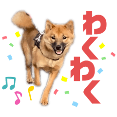 [LINEスタンプ] つつじちゃんスタンプ2