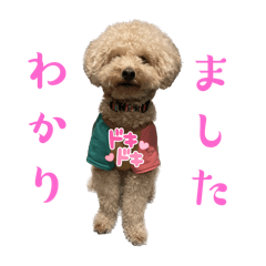 [LINEスタンプ] エイトとルーク 犬兎