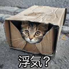 [LINEスタンプ] メンヘラ子猫【猫・ねこ・カップル】の画像（メイン）