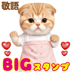 [LINEスタンプ] キュートなエプロン猫たち 敬語BIGスタンプの画像（メイン）