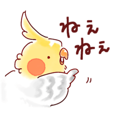 [LINEスタンプ] 日常で使えるオカメインコスタンプ2