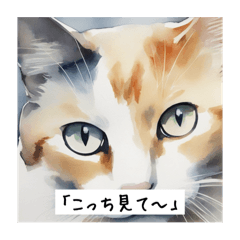 [LINEスタンプ] 水彩画の猫たち