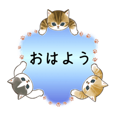 [LINEスタンプ] にゃんこ報連相