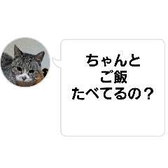 [LINEスタンプ] おかん瑪瑙さん