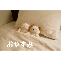 [LINEスタンプ] ちゃちゃぬいスタンプ