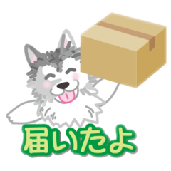 [LINEスタンプ] ぎんちゃんスタンプ29