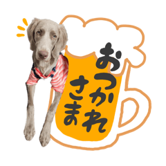 [LINEスタンプ] 『ナッツ☆タルト☆オレオ』