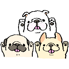 [LINEスタンプ] 鼻ぺちゃ犬のシンプルで使いやすいスタンプ