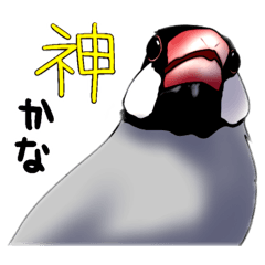 [LINEスタンプ] 文太❁オタクに優しいスタンプ