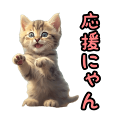 [LINEスタンプ] 可愛い子猫のスタンプだよ！⑦の画像（メイン）