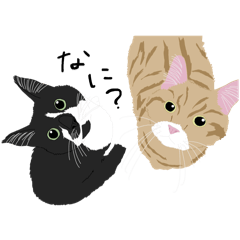 [LINEスタンプ] んなもんこれしかないよ