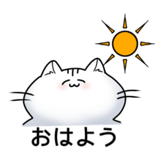 [LINEスタンプ] 横に広いねこのすたんぷ