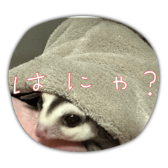 [LINEスタンプ] フクモモ凛ちゃん3