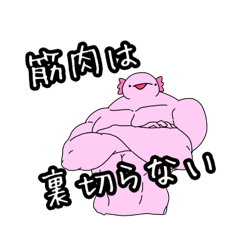 [LINEスタンプ] 脳筋ウーパールーパー