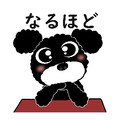 [LINEスタンプ] トイプードルのcoco黒