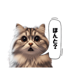 [LINEスタンプ] 【日常用】ネコがいっぱい