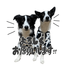 [LINEスタンプ] ヴェディー＆アード