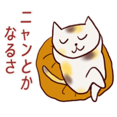 [LINEスタンプ] ねこのニャン語の日常スタンプ