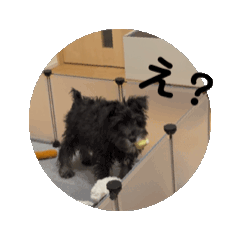 [LINEスタンプ] 動く愛犬ホッピーvol.1の画像（メイン）