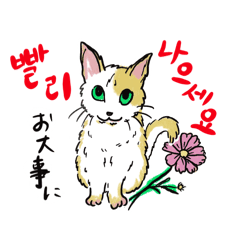 [LINEスタンプ] うちの猫が呟く韓国語