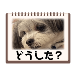 [LINEスタンプ] meruちゃんのスタンプ 2