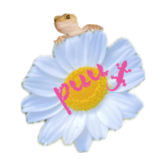 [LINEスタンプ] ヒョウモントカゲモドキpu