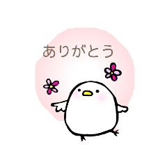 [LINEスタンプ] ぴよちゃんpiyopiyo