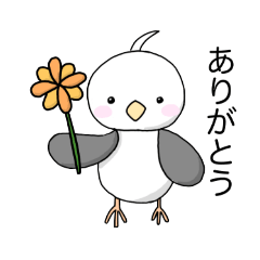 [LINEスタンプ] ゆるかわ★白インコの日常