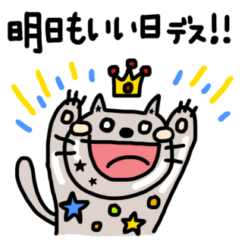 [LINEスタンプ] ポジティブな星ネコの応援で縁起がいい日①