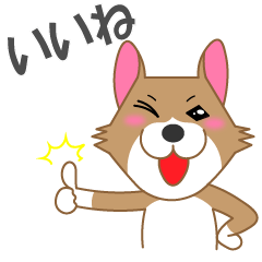 [LINEスタンプ] 犬＜茶シロ＞はなちゃんスタンプ