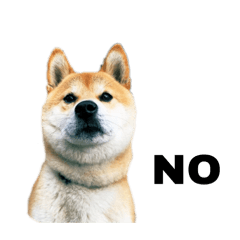 [LINEスタンプ] 芝犬そら2