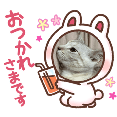 [LINEスタンプ] モナモナcat、