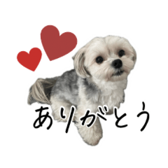 [LINEスタンプ] 音 2403