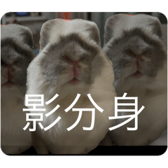 [LINEスタンプ] 使いみち無限大スタンプ