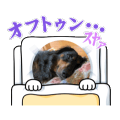 [LINEスタンプ] はるのめざめの画像（メイン）