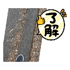 [LINEスタンプ] 自然とあなたとわたし