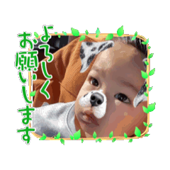 [LINEスタンプ] RNTスタンプ6