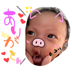 [LINEスタンプ] 心陽たんスタ