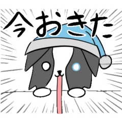 [LINEスタンプ] ぼーだーこりー！