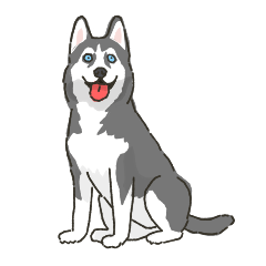 [LINEスタンプ] ハスキー犬っぽいハスキー犬スタンプの画像（メイン）