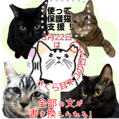 [LINEスタンプ] 全文 書き換えられる100文字まで保護猫応援