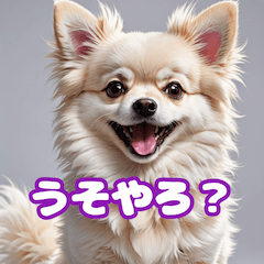 [LINEスタンプ] かわいい犬の仲間たち