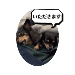 [LINEスタンプ] チワックスひまてん3の画像（メイン）