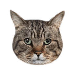 [LINEスタンプ] はらっぺらし猫③