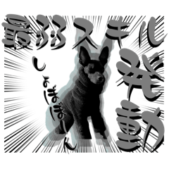 [LINEスタンプ] 蘭丸先輩8