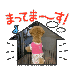 [LINEスタンプ] ペニ子☆スタンプ0320