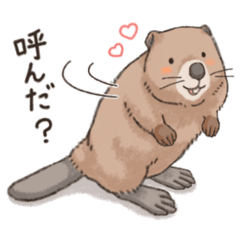 [LINEスタンプ] ぽってりビーバーさん