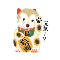 [LINEスタンプ] Wanko 5