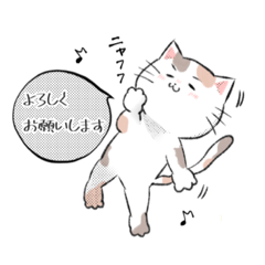 [LINEスタンプ] tmrのねこねこスタンプ 日常編